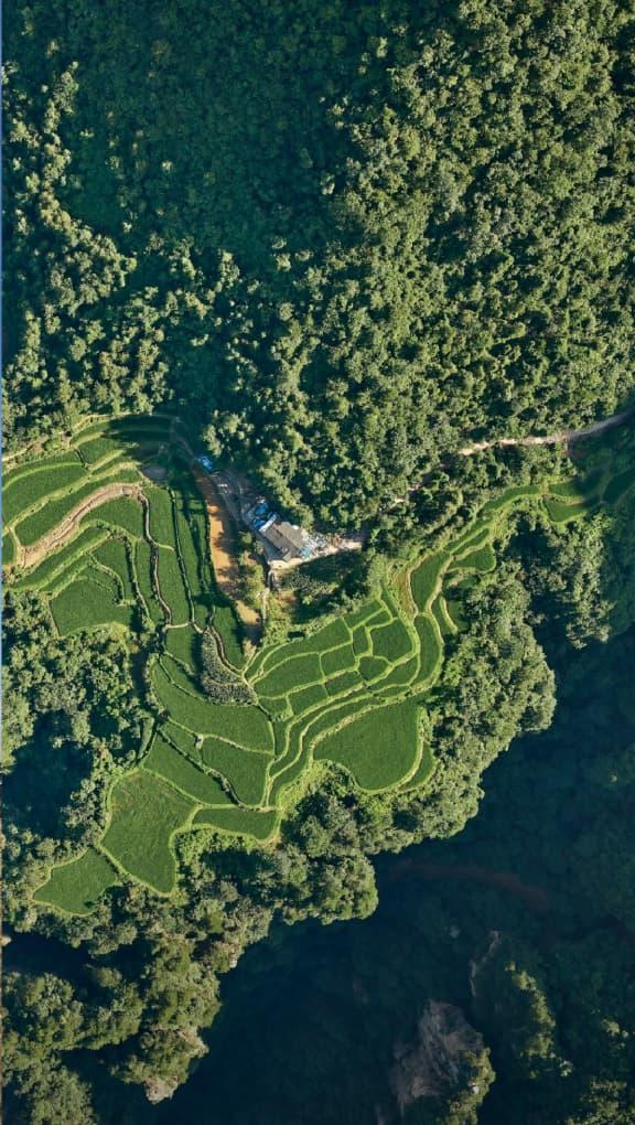 Manage and monitor tree inventory with few quick flights in the forest. Analyze forestry parameters like crowns, breast diameter and tree height using precise photogrametry data.