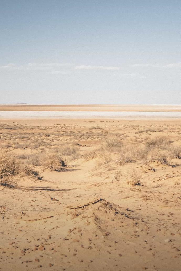 Wasteland Reclamation